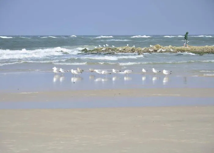 Boetticherstrasse 4, App 7 Westerland